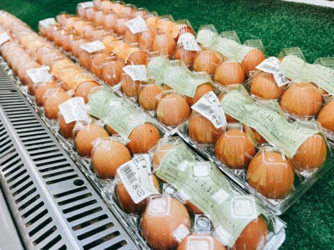 髙野の採れたてたまご